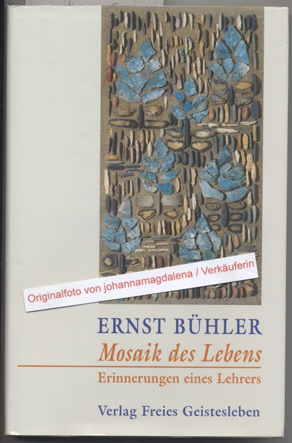 Mosaik des Lebens: Erinnerungen eines Lehrers Memories