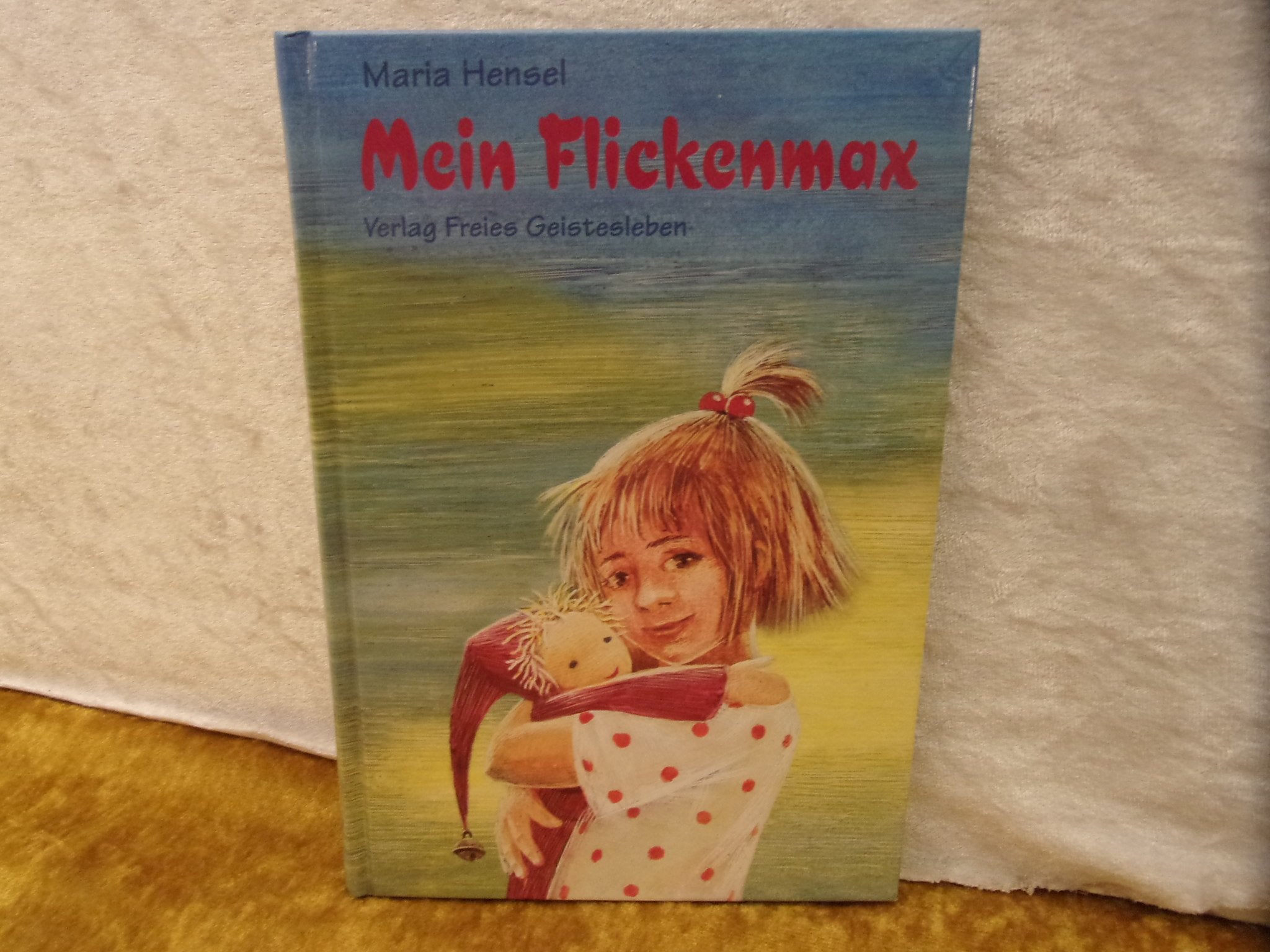 Mein Flickenmax Novels & Short Stories