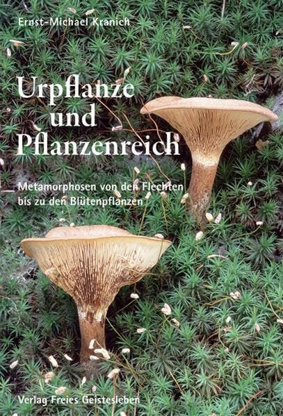 Urpflanze und Pflanzenreich Leisure, Home & Garden