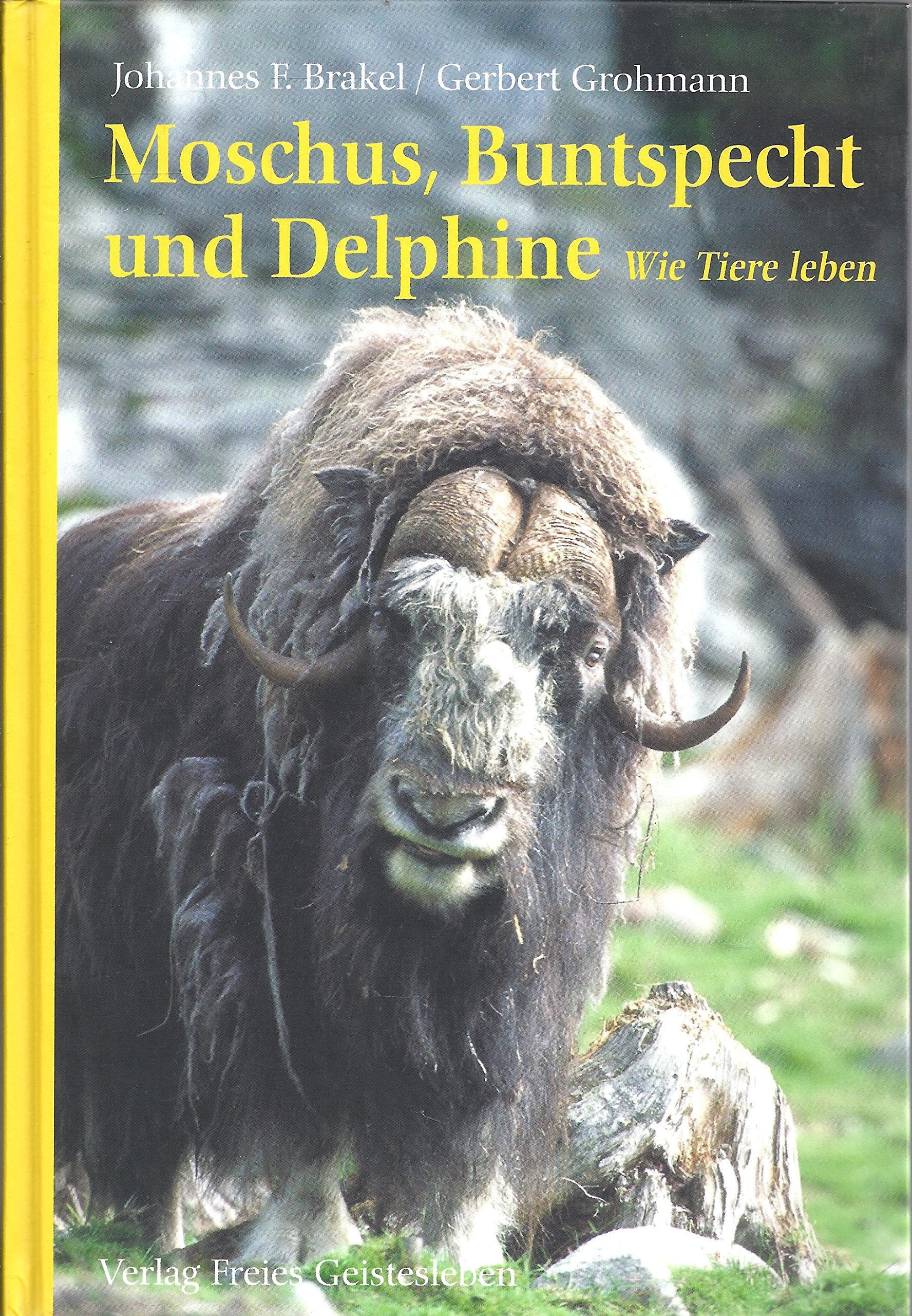 Moschus, Buntspecht und Delfine. Wie Tiere leben Leisure & Fun