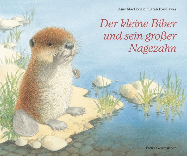 Der kleine Biber und sein großer Nagezahn Health, Nutrition & Fitness