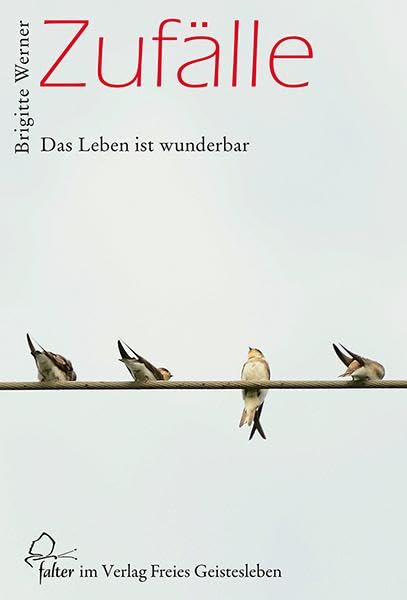 Zufälle Lifestyle