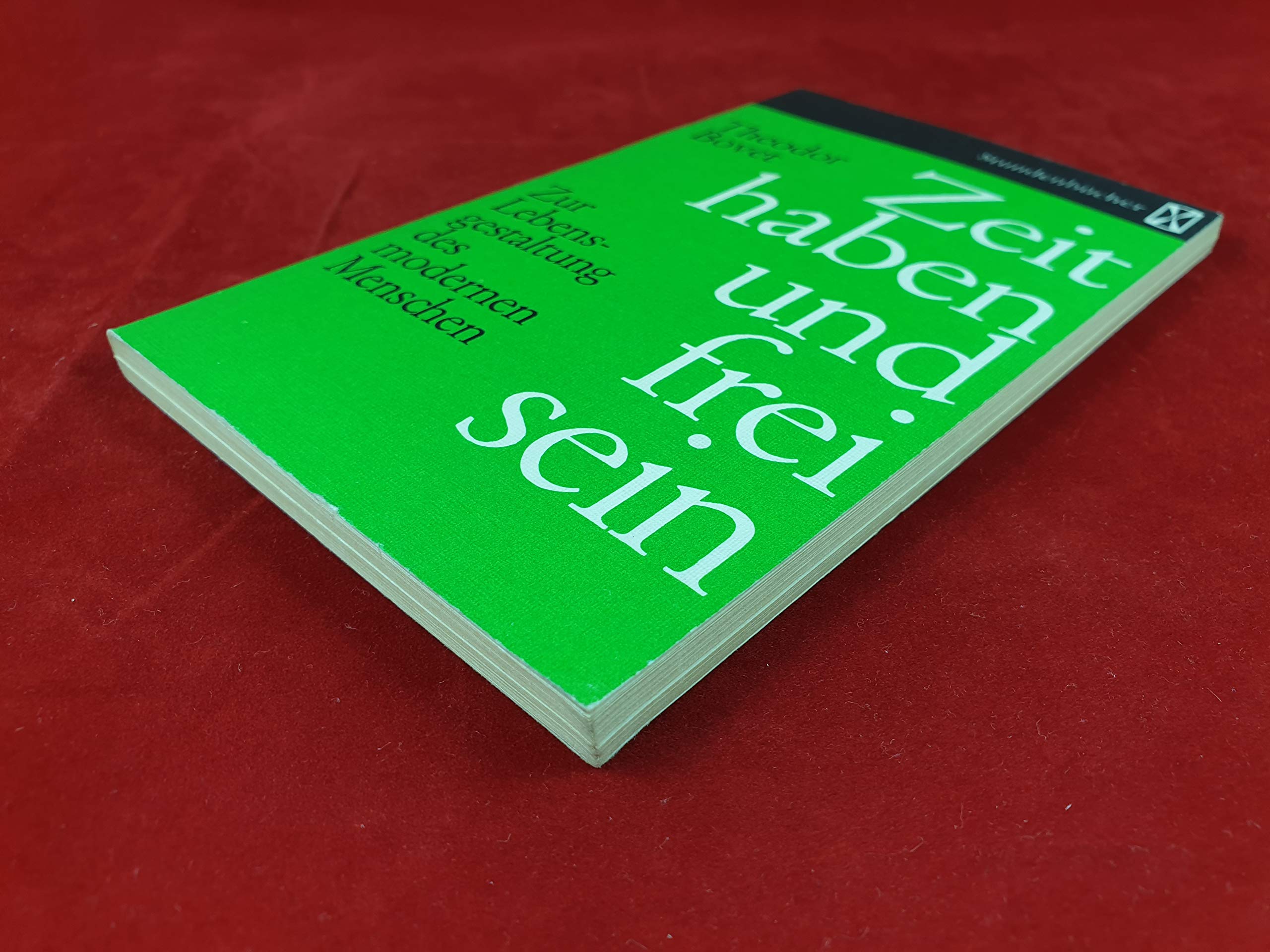 Zeit haben und frei sein (Stundenbücher) Books