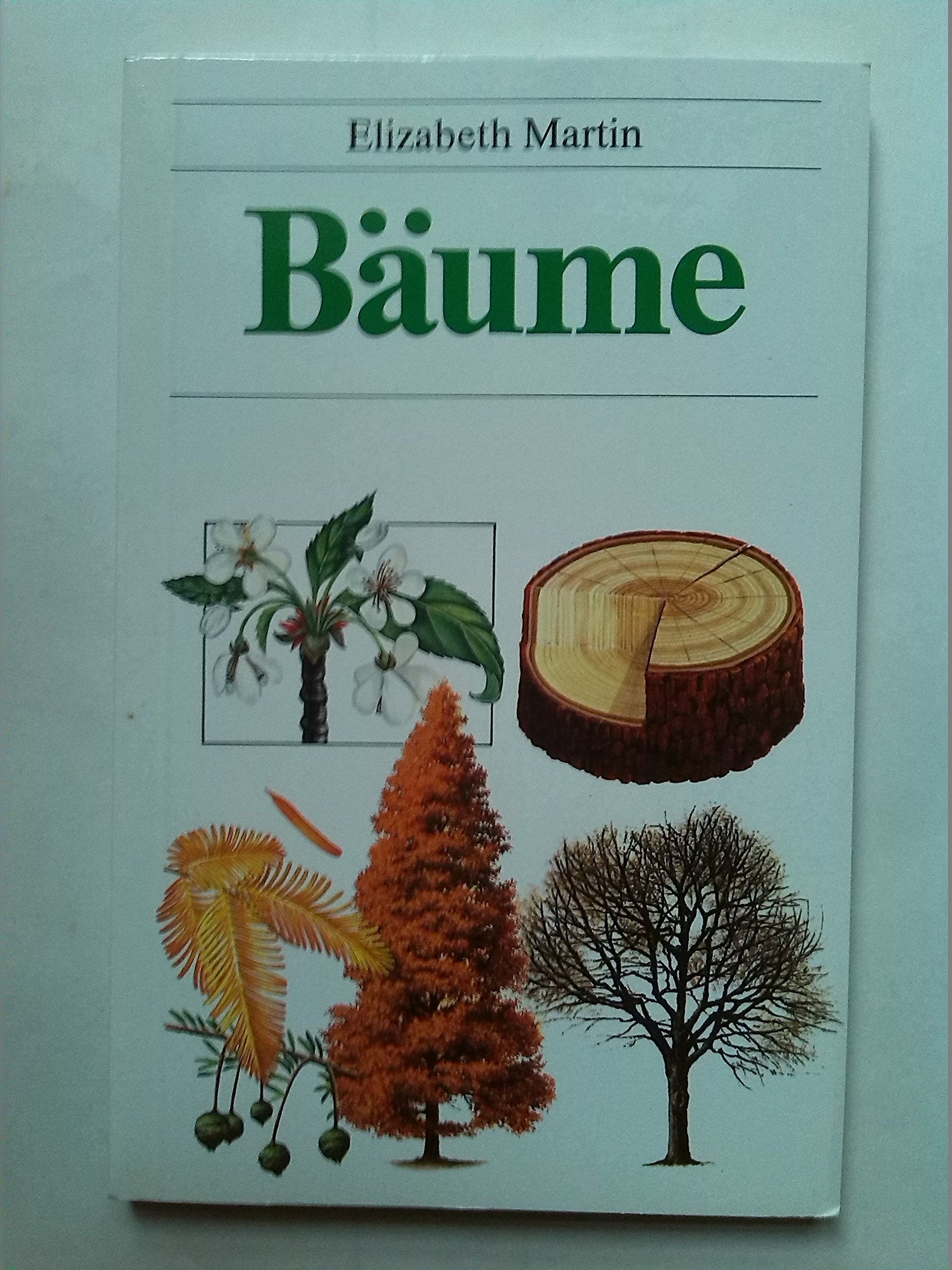 Product Image: Bäume erkennen und bestimmen