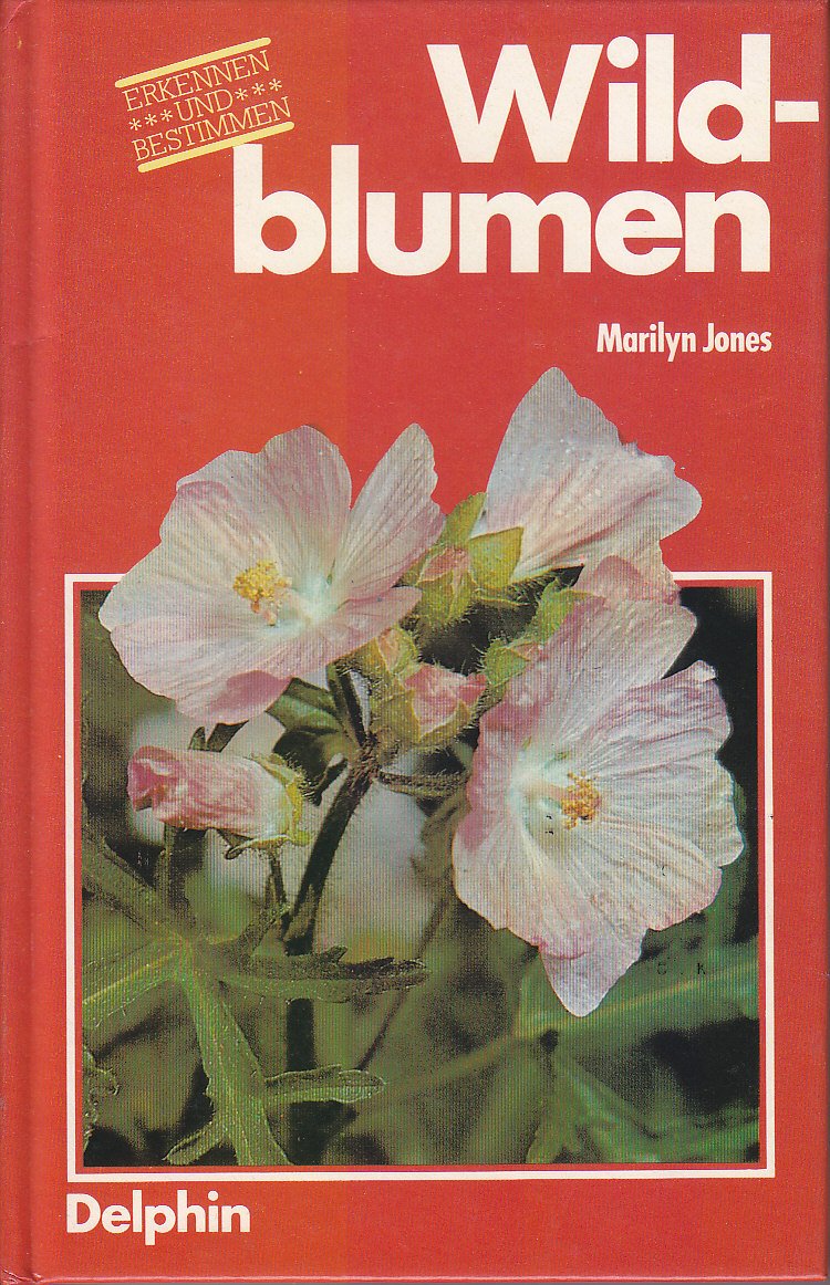 Wildblumen erkennen und bestimmen Business & Technology