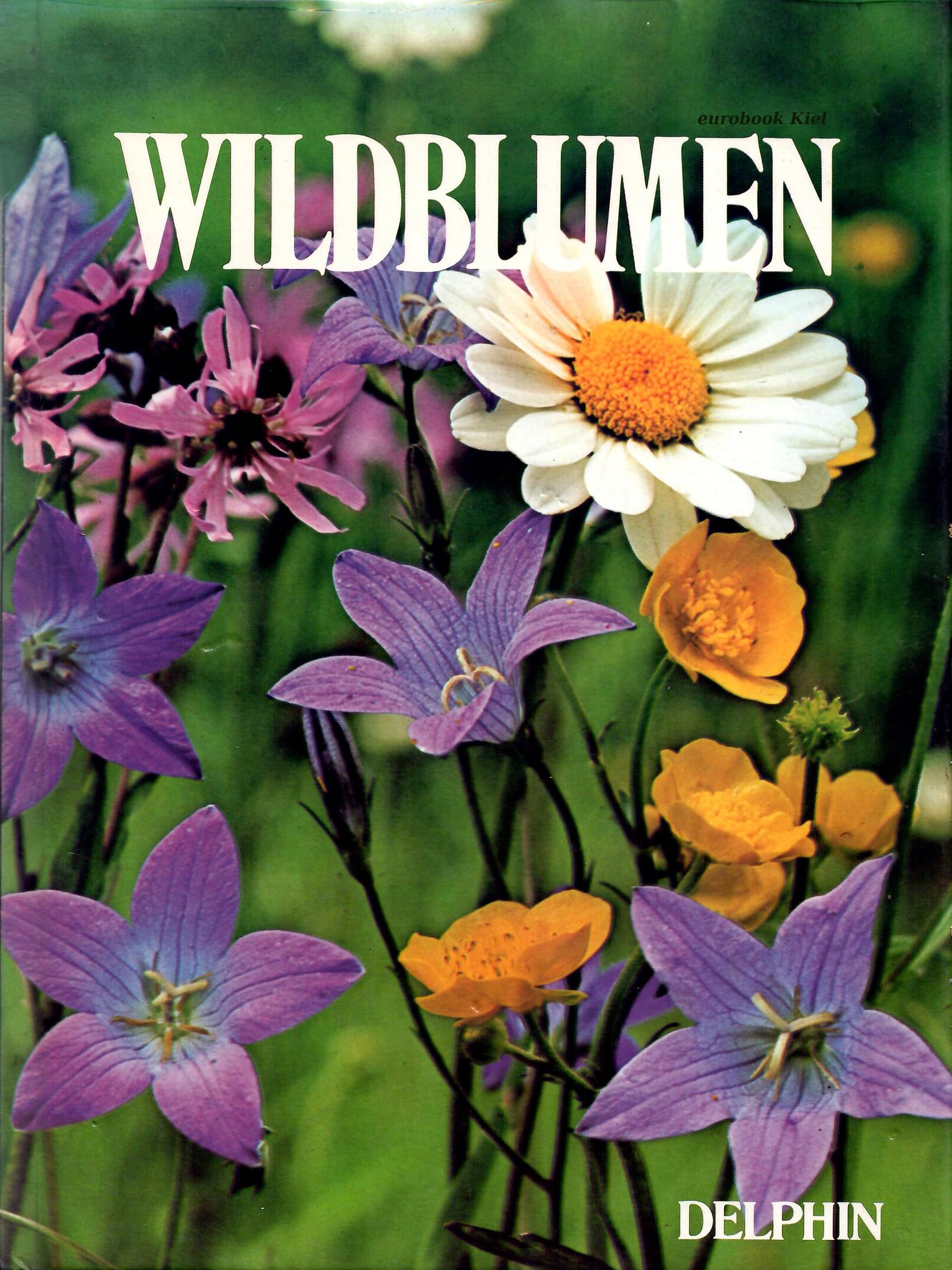 Wildblumen Books