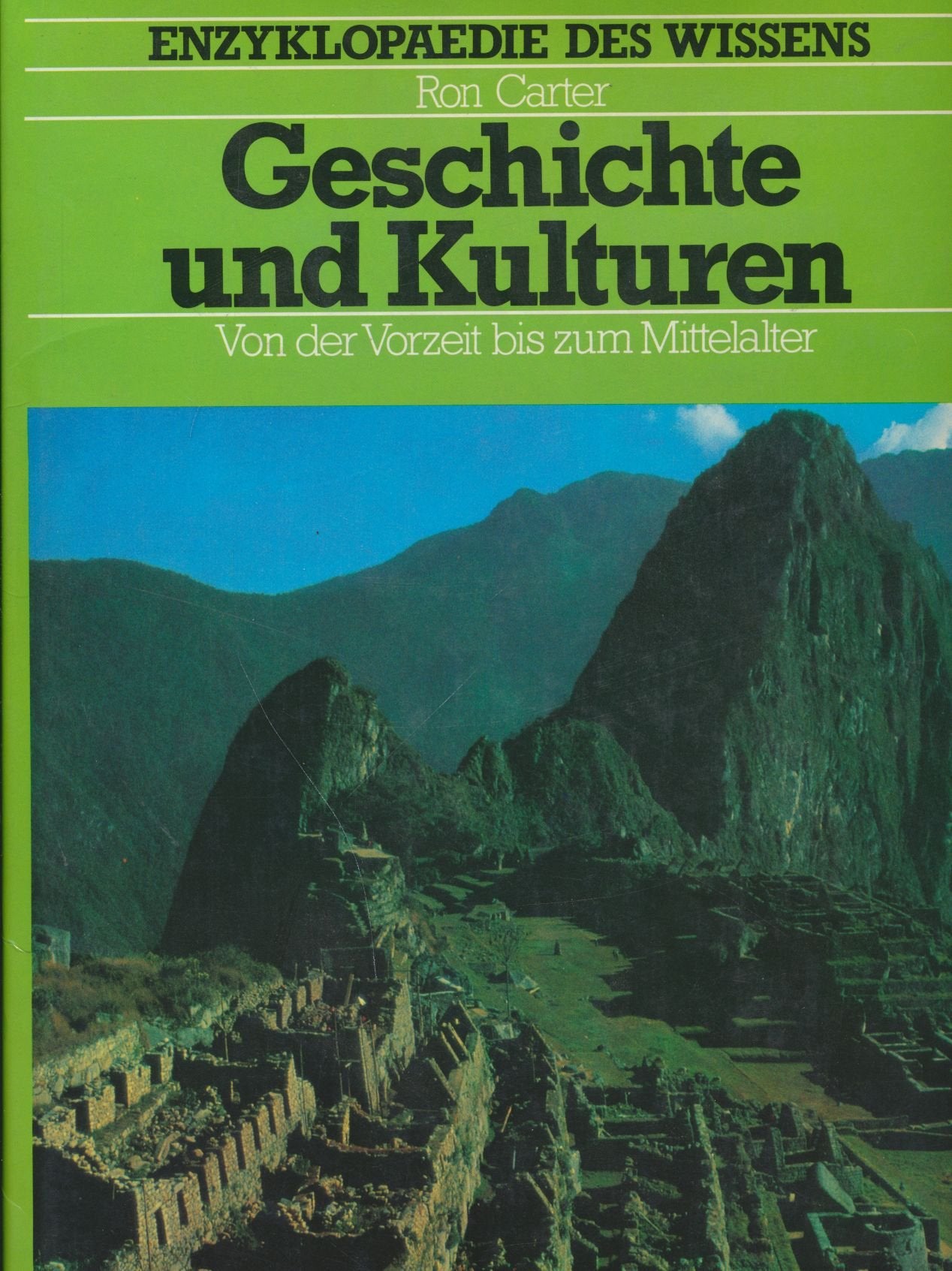 Geschichte und Kulturen. Von der Vorzeit bis zum Mittelalter Books