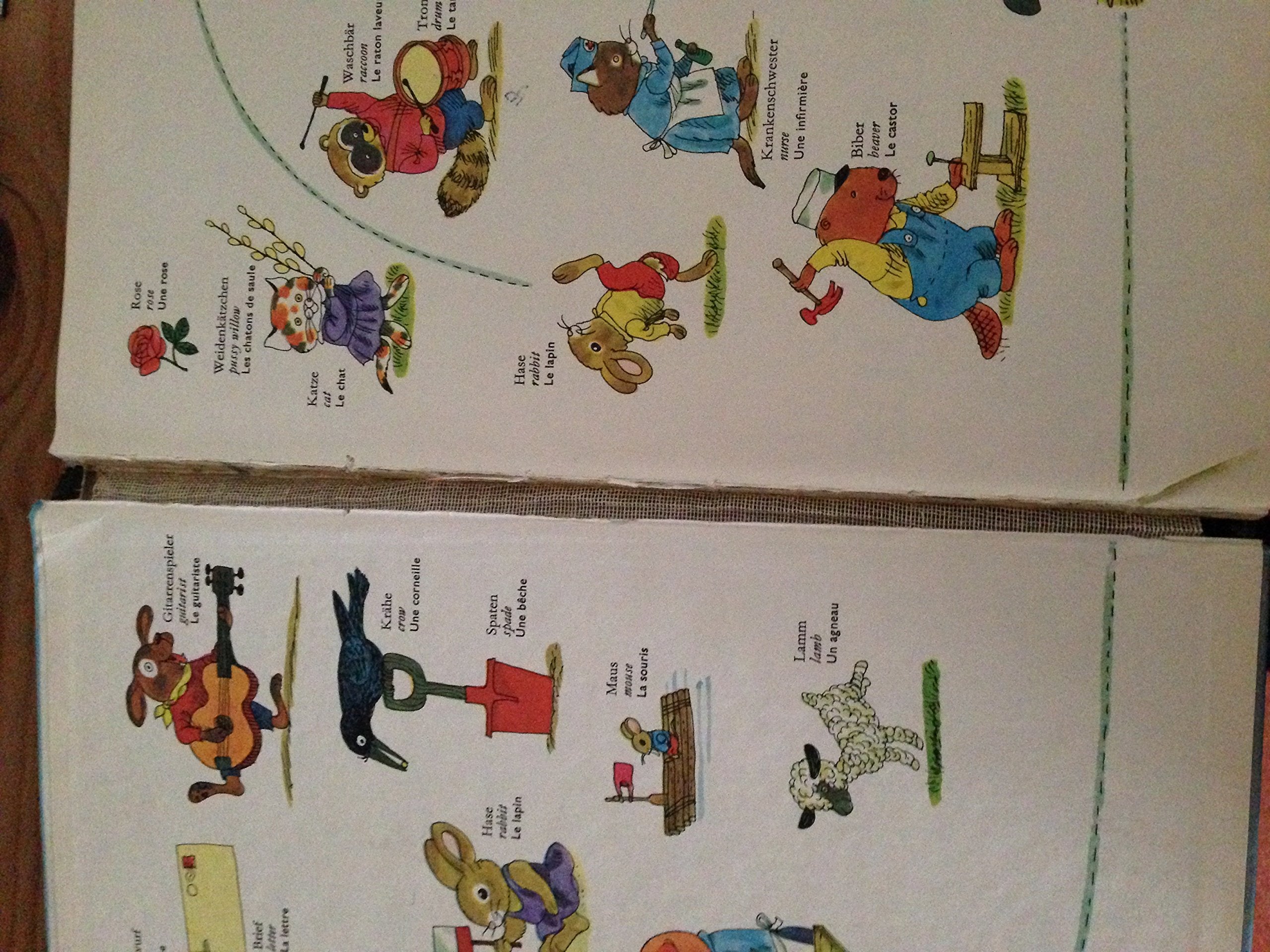 Mein allerschönstes Wörterbuch General education