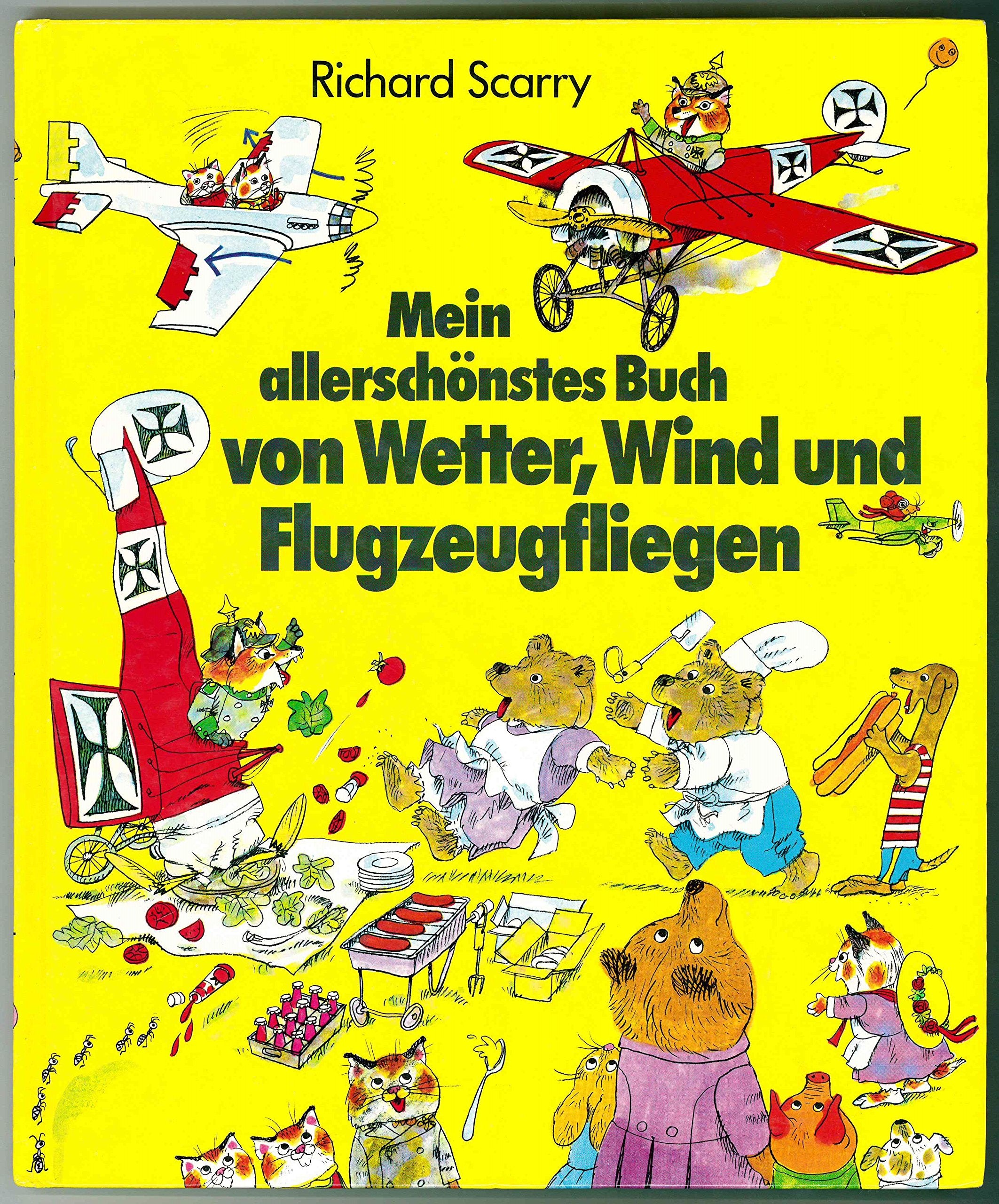 Mein allerschönstes Buch von Wetter, Wind und Flugzeugfliegen Books