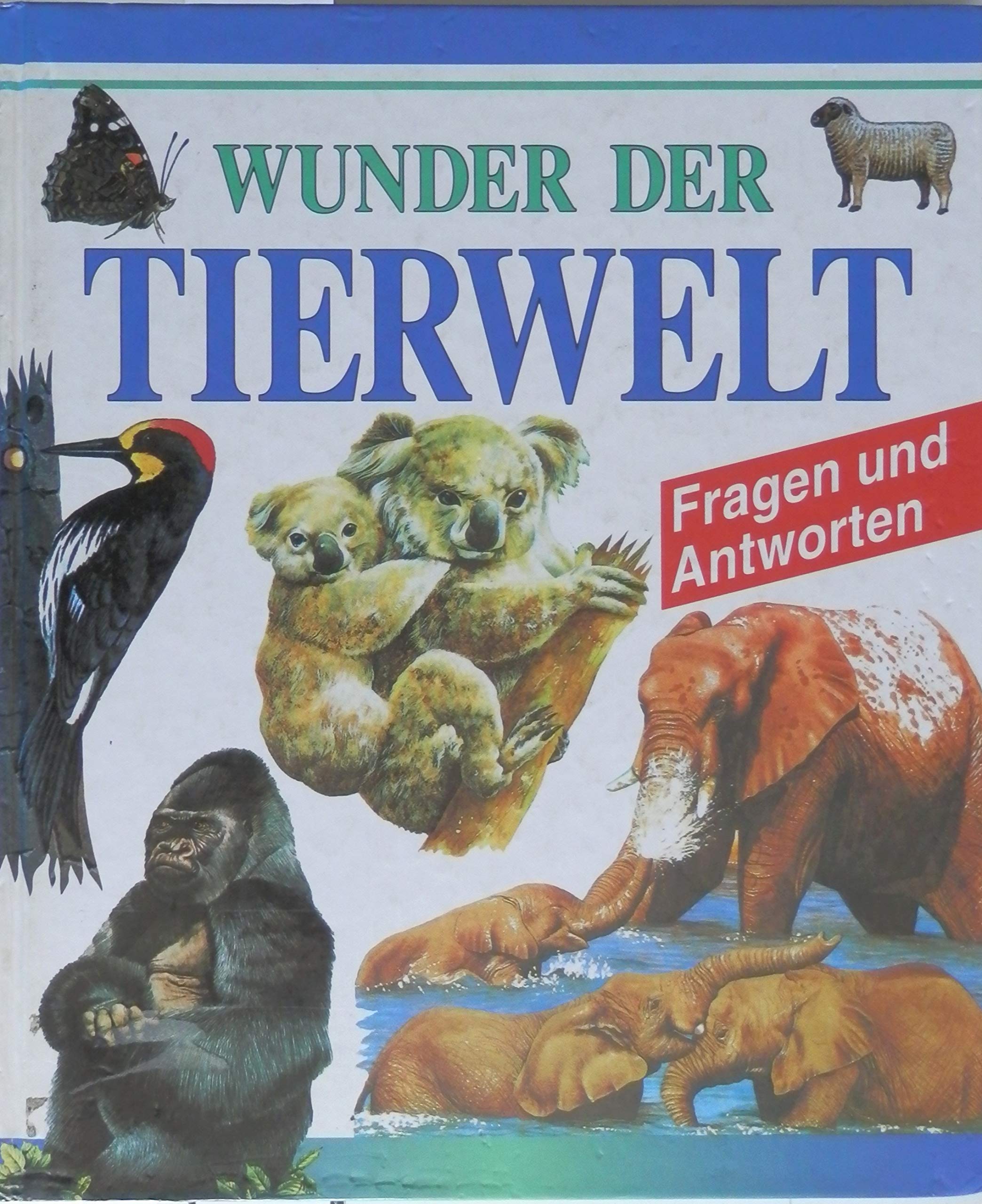 1001 Wunder der Tierwelt. Fragen und Antworten Natural Sciences