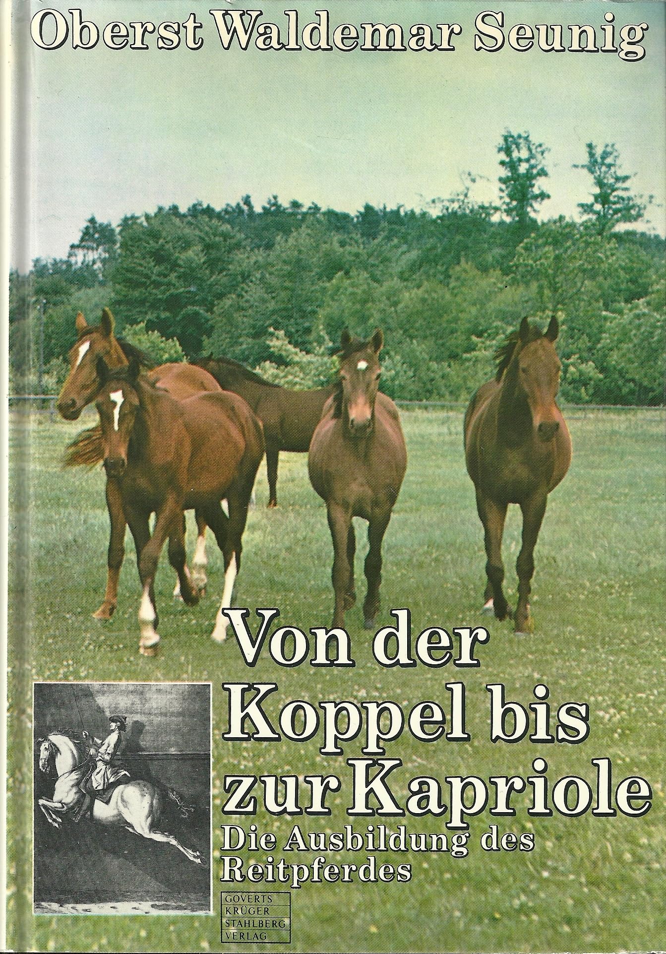 Von der Koppel bis zur Kapriole Pets