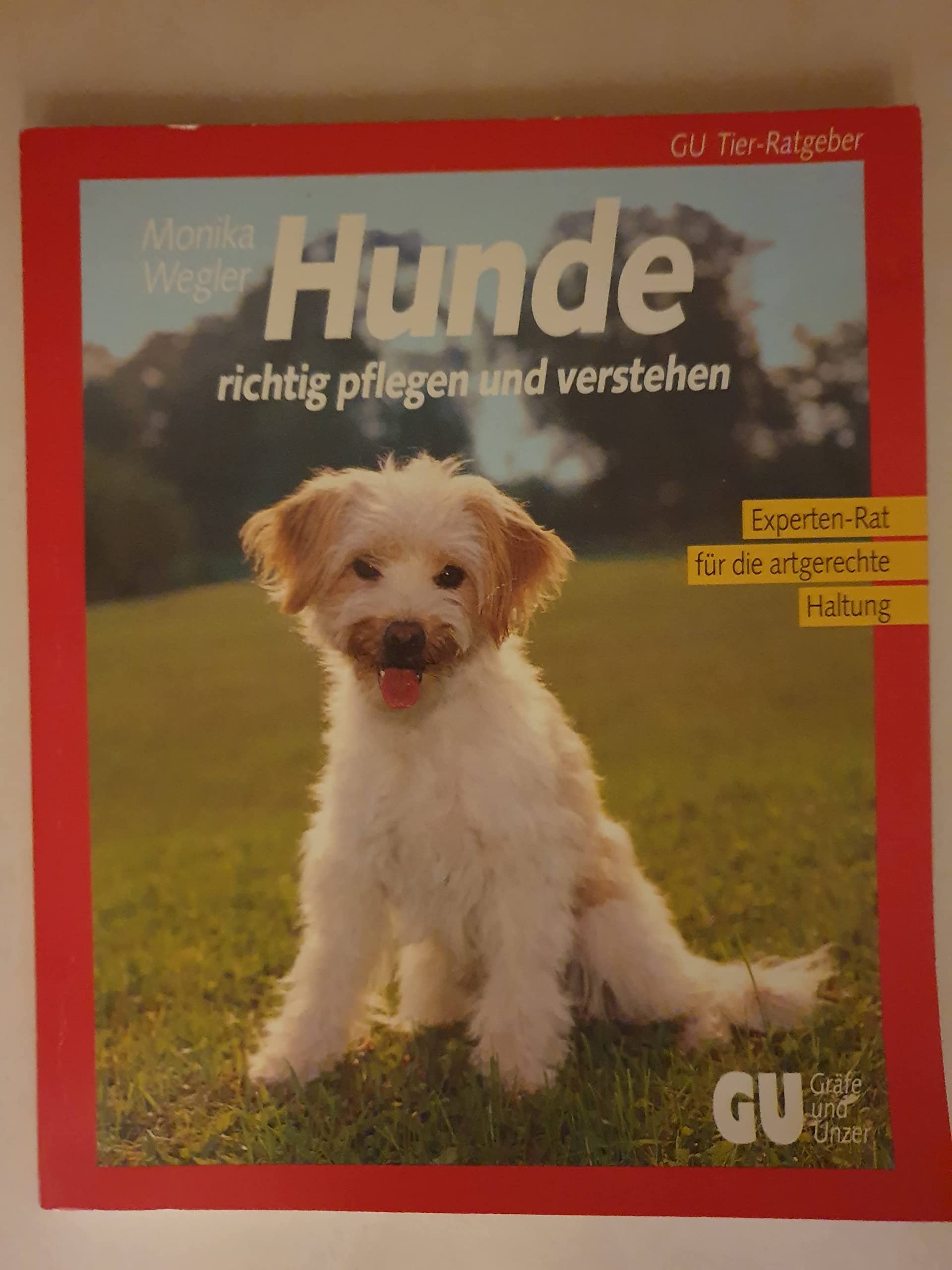 Hunde: Liebenswerte Schnuppernasen. Mit der richtigen Pflege und sinnvoller Beschäftigung geht es Ihrem Vierbeiner rundum gut: Experten-Rat für die artgerechte Haltung Pets