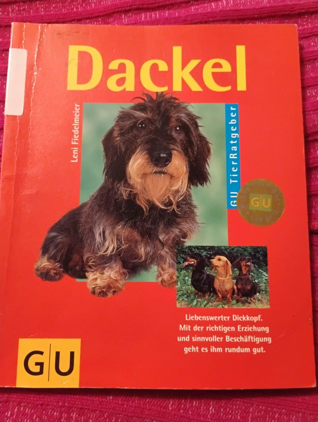 Dackel richtig pflegen und verstehen Parents & Children