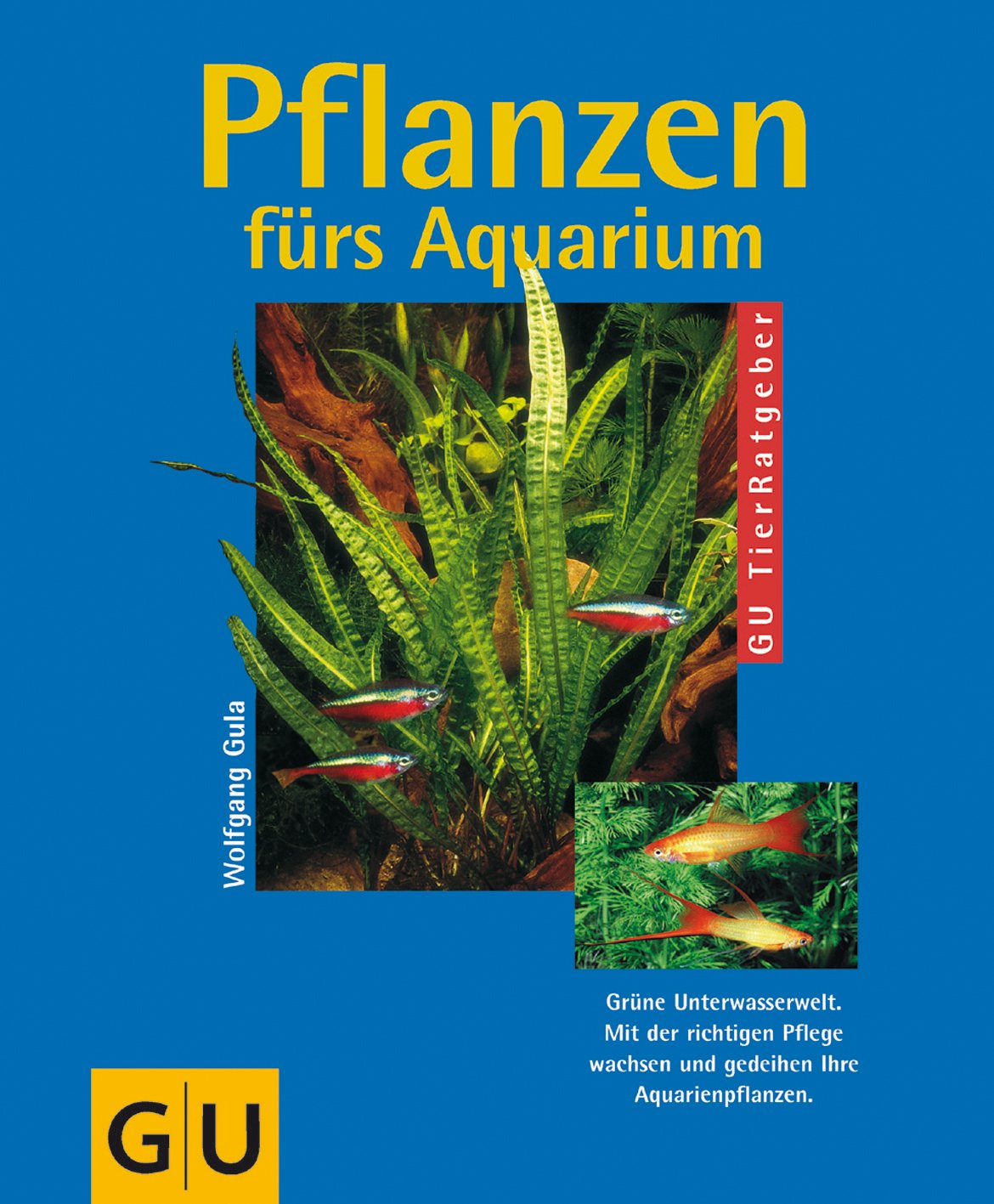 Pflanzen fürs Aquarium Garden & Plants