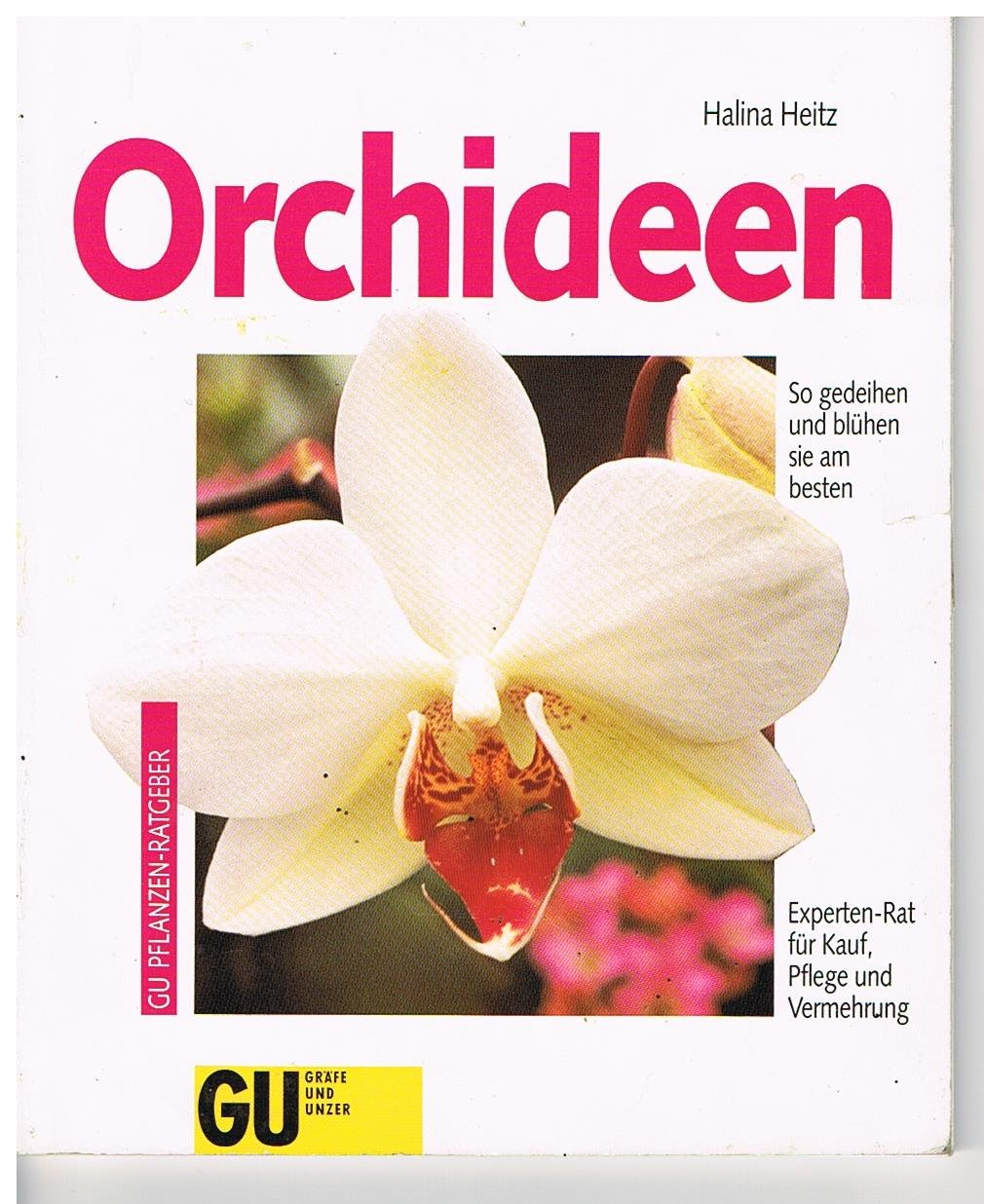 Orchideen. So gedeihen und blühen sie am besten Garden & Plants