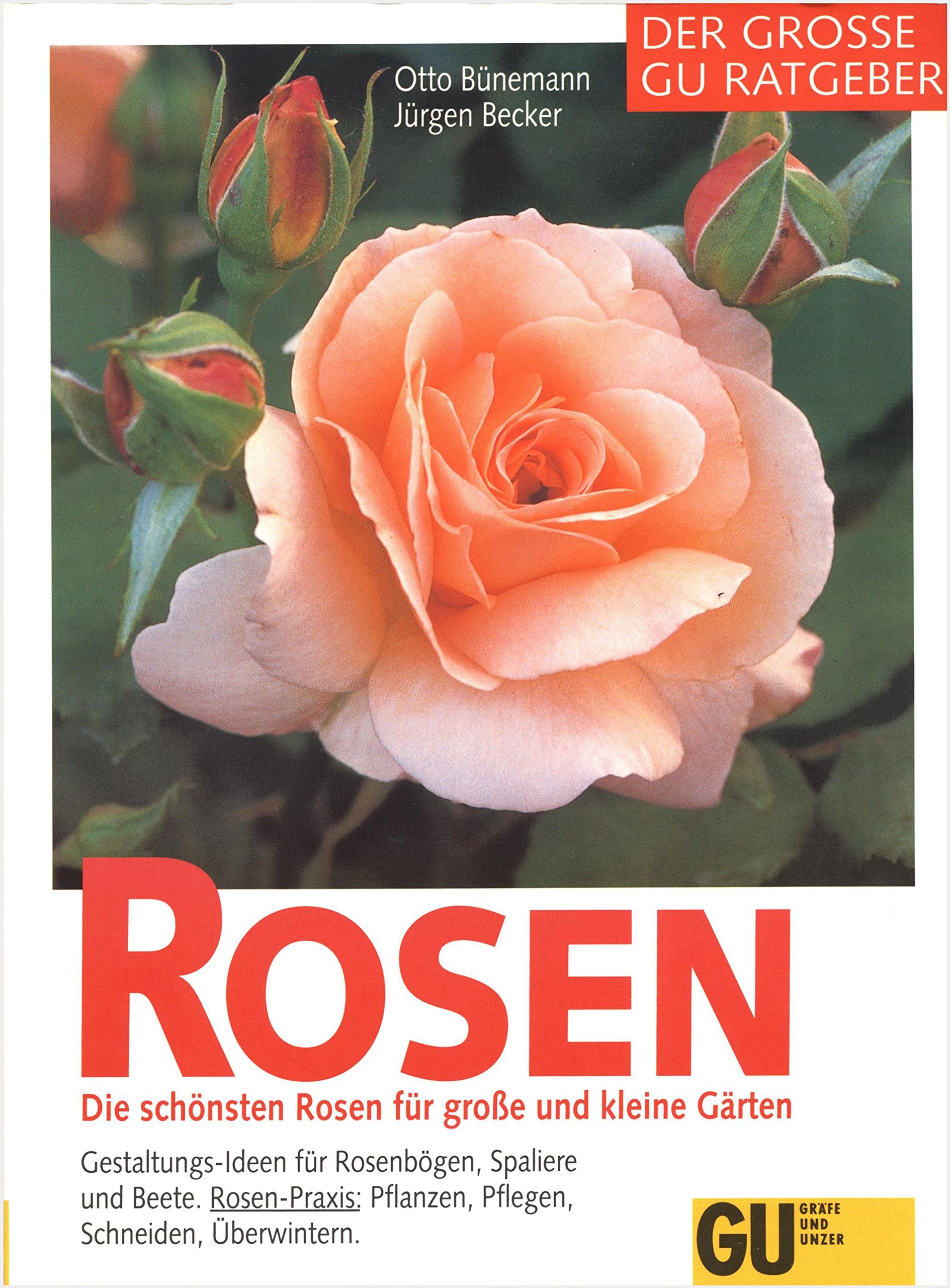 Der grosse GU Ratgeber Rosen. Die schönsten Rosen für grosse und kleine Gärten. Gestaltungs-Ideen für Rosenbögen, Spaliere und Beete. Rosen-Praxis: Pflanzen, Pflegen, Schneiden, Überwintern Leisure, Home & Garden
