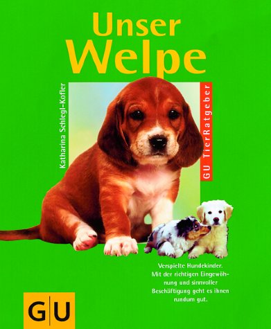Unser Welpe. Verspielte Hundekinder. Mit der richtigen Erziehung und sinnvoller Beschäftigung geht es ihnen rundum gut Pets