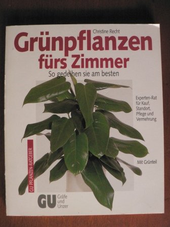 Grünpflanzen fürs Zimmer Garden & Plants