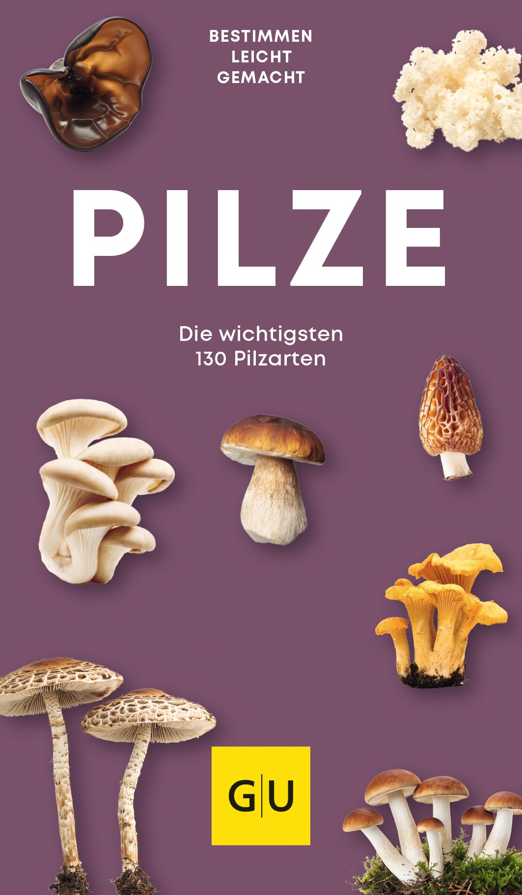 Product Image: Pilze Kompass