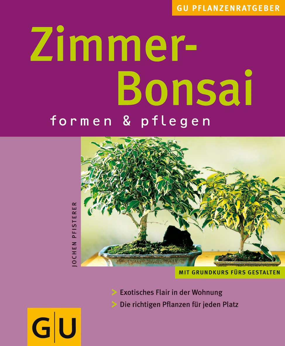 Zimmer-Bonsai Garden & Plants
