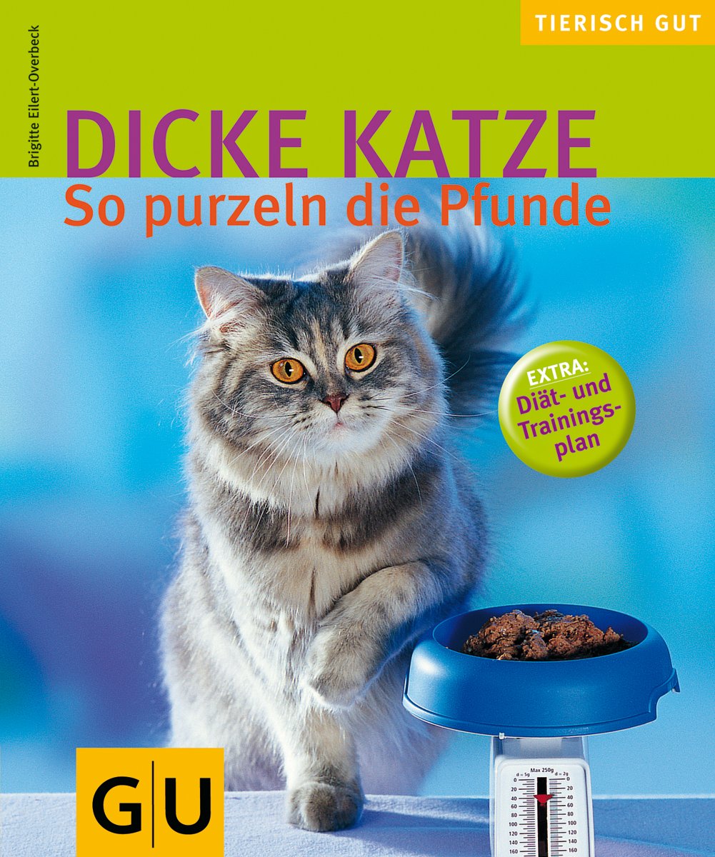 Dicke Katze: So purzeln die Pfunde (GU Tierisch gut) Pets