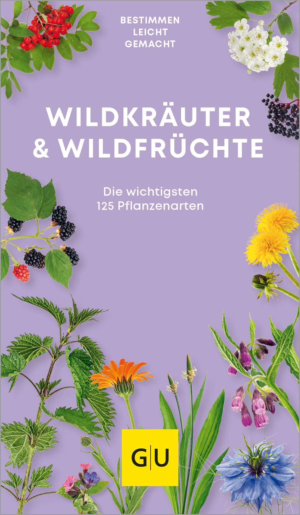 Wildkräuter. Wildfrüchte Garden & Plants