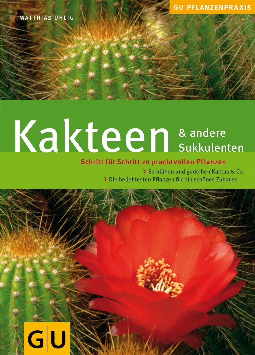 Kakteen & andere Sukkulenten: Schritt für Schritt zu prachtvollen Pflanzen. So blühen und gedeihen Kaktus & Co. (GU Praxisratgeber Garten) Garden & Plants
