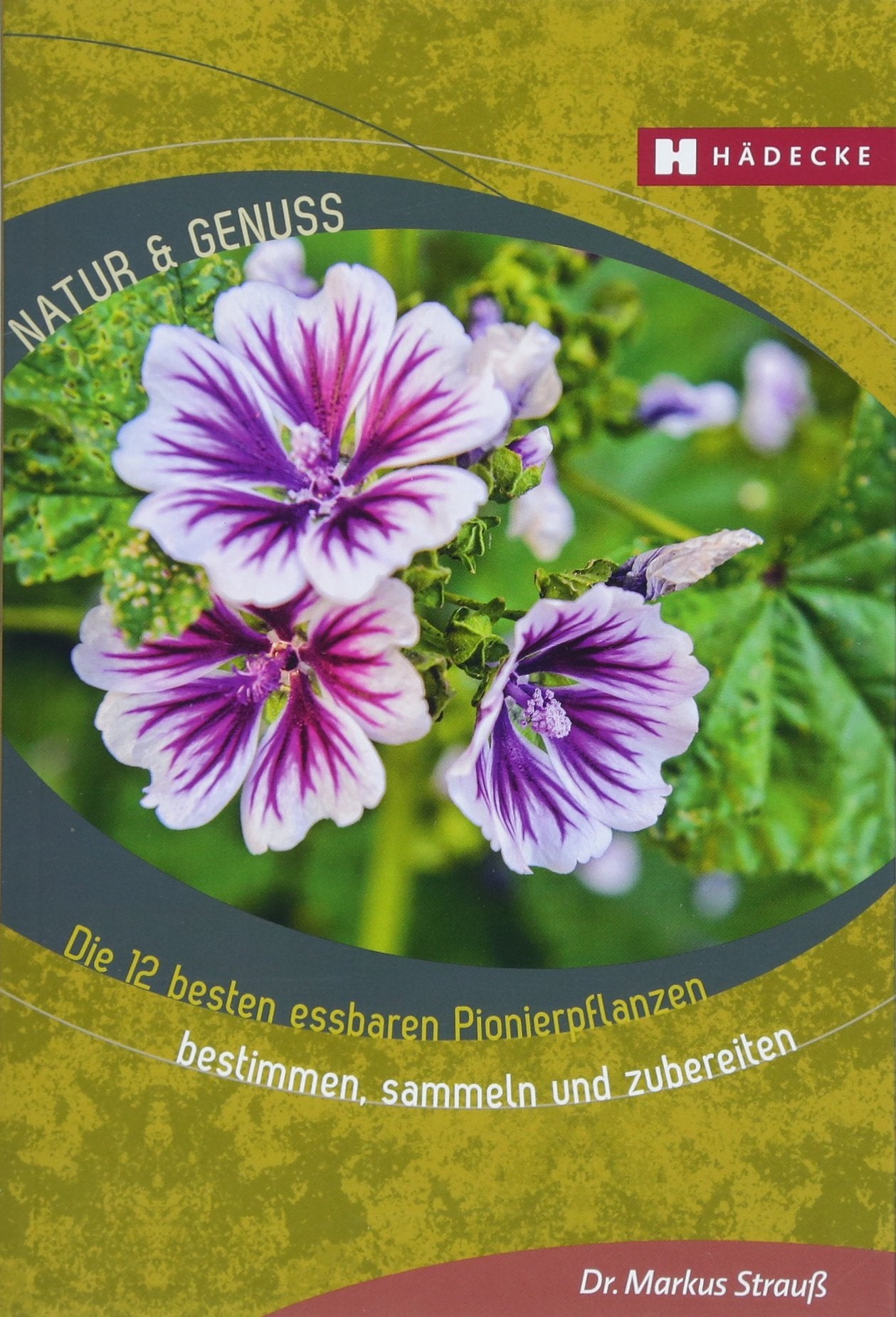 Die 12 besten essbaren Pionierpflanzen Leisure, Home & Garden