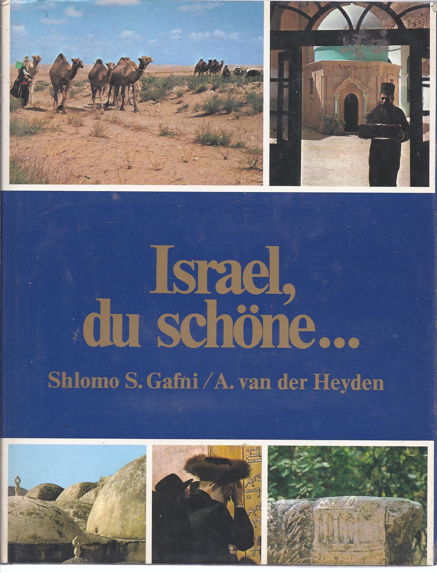 Israel, du schöne... (Livre en allemand) book