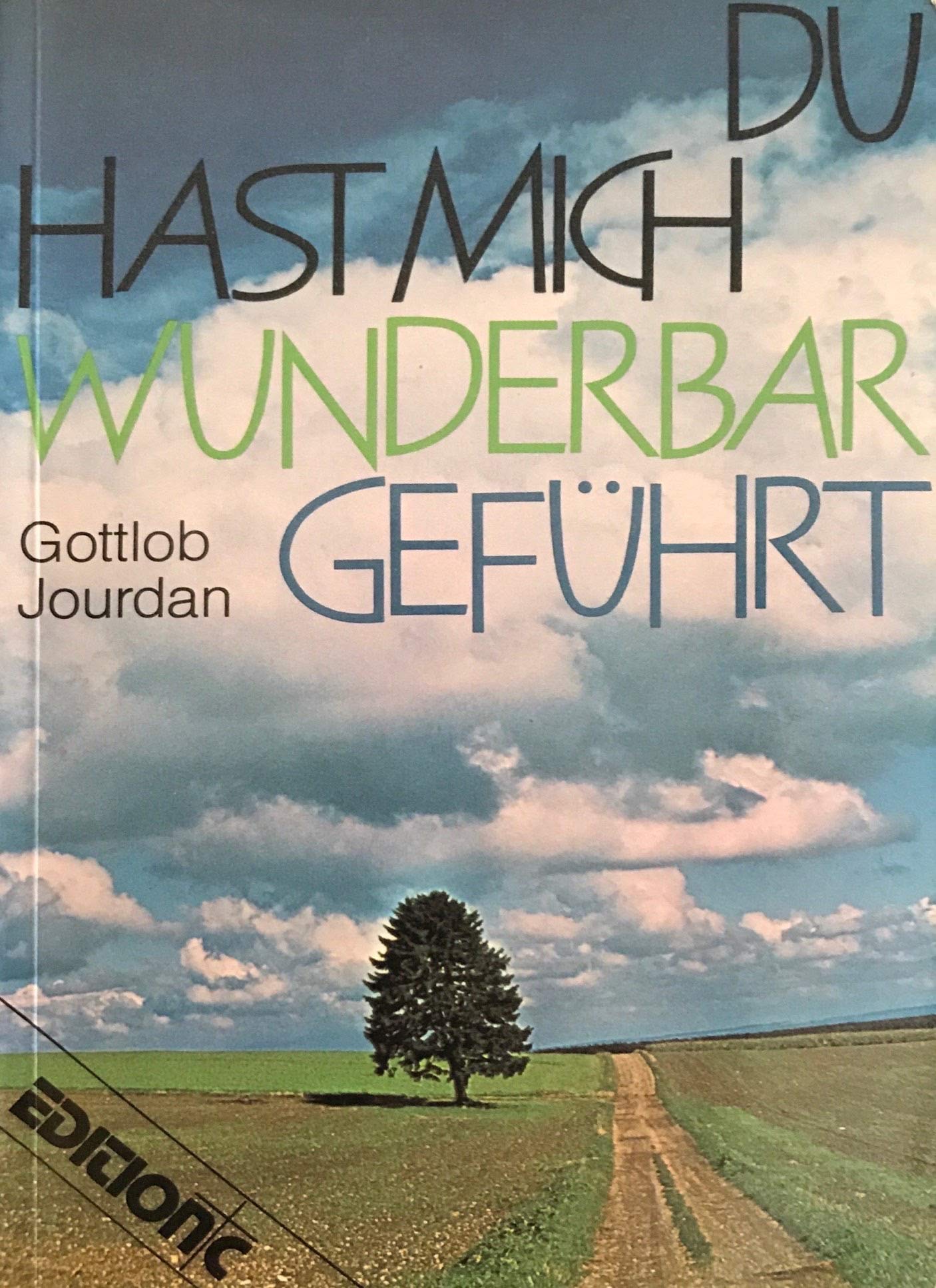 Du hast mich wunderbar geführt. Books