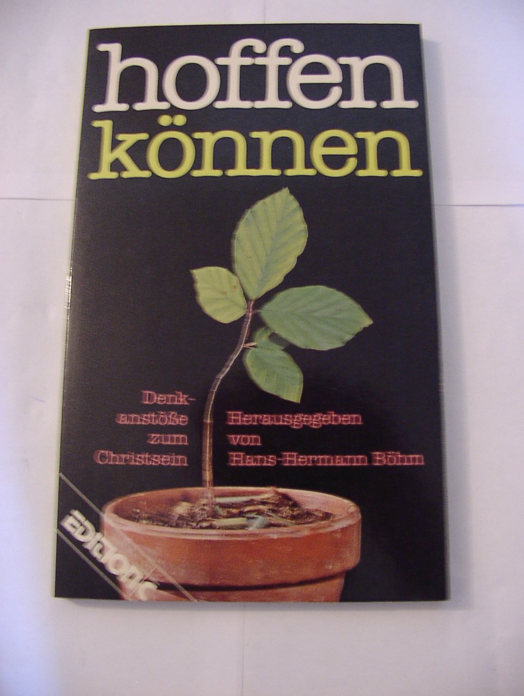 Hoffen können: Denkanstösse zum Christsein (Edition C. Unterreihe T - Taschenbücher) Religion & Esotericism