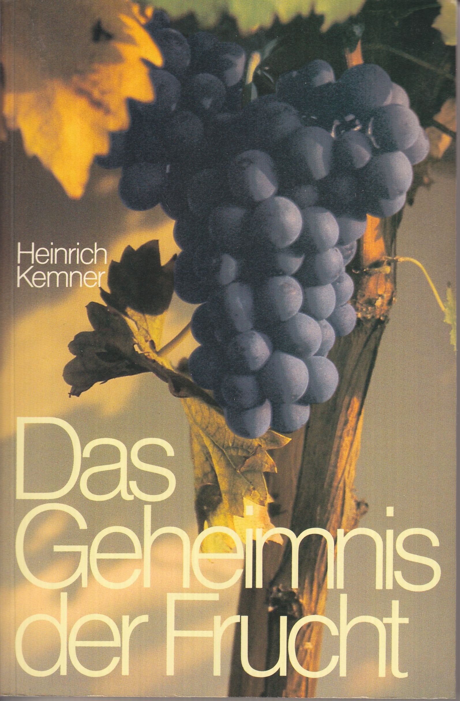 Das Geheimnis der Frucht (TELOS - Paperbacks) Religion & Esotericism