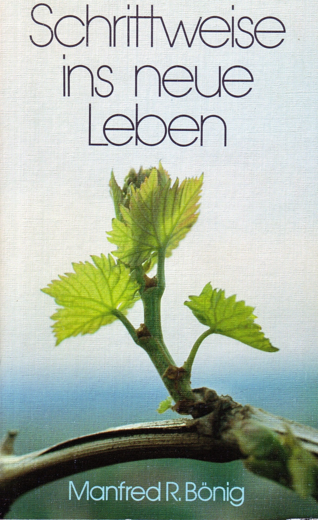 Schrittweise ins neue Leben (TELOS - Taschenbücher) Religion & Esotericism