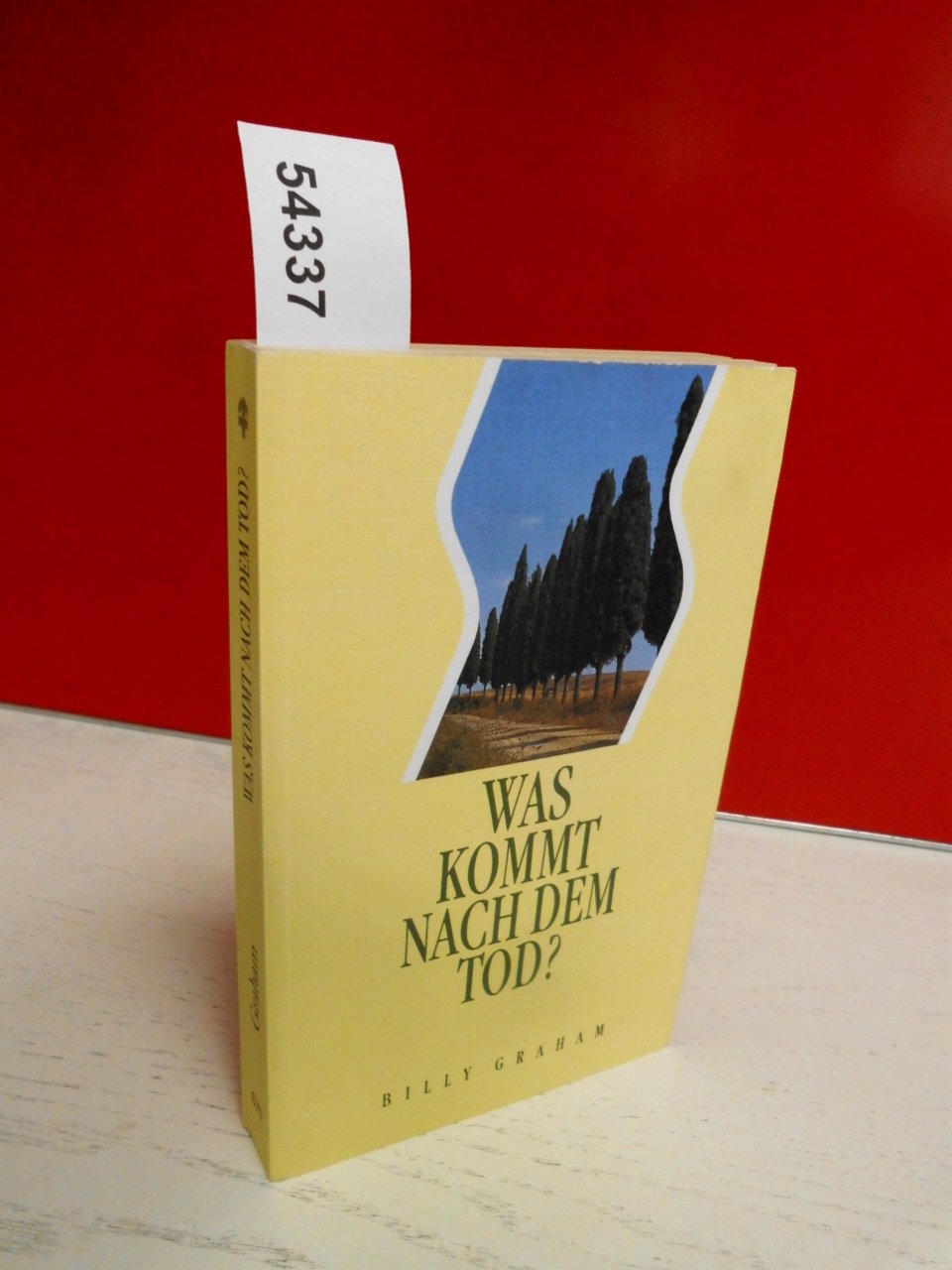 Was kommt nach dem Tod? (TELOS - Taschenbücher) Psychology