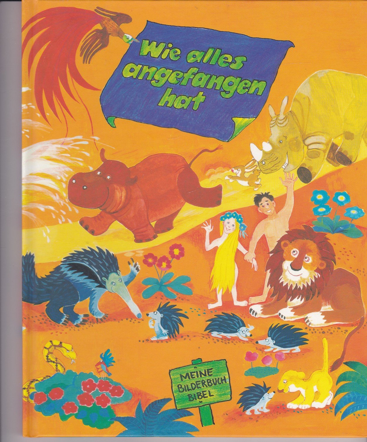 wie alles angefangen hat (meine bilderbuch bibel) Books
