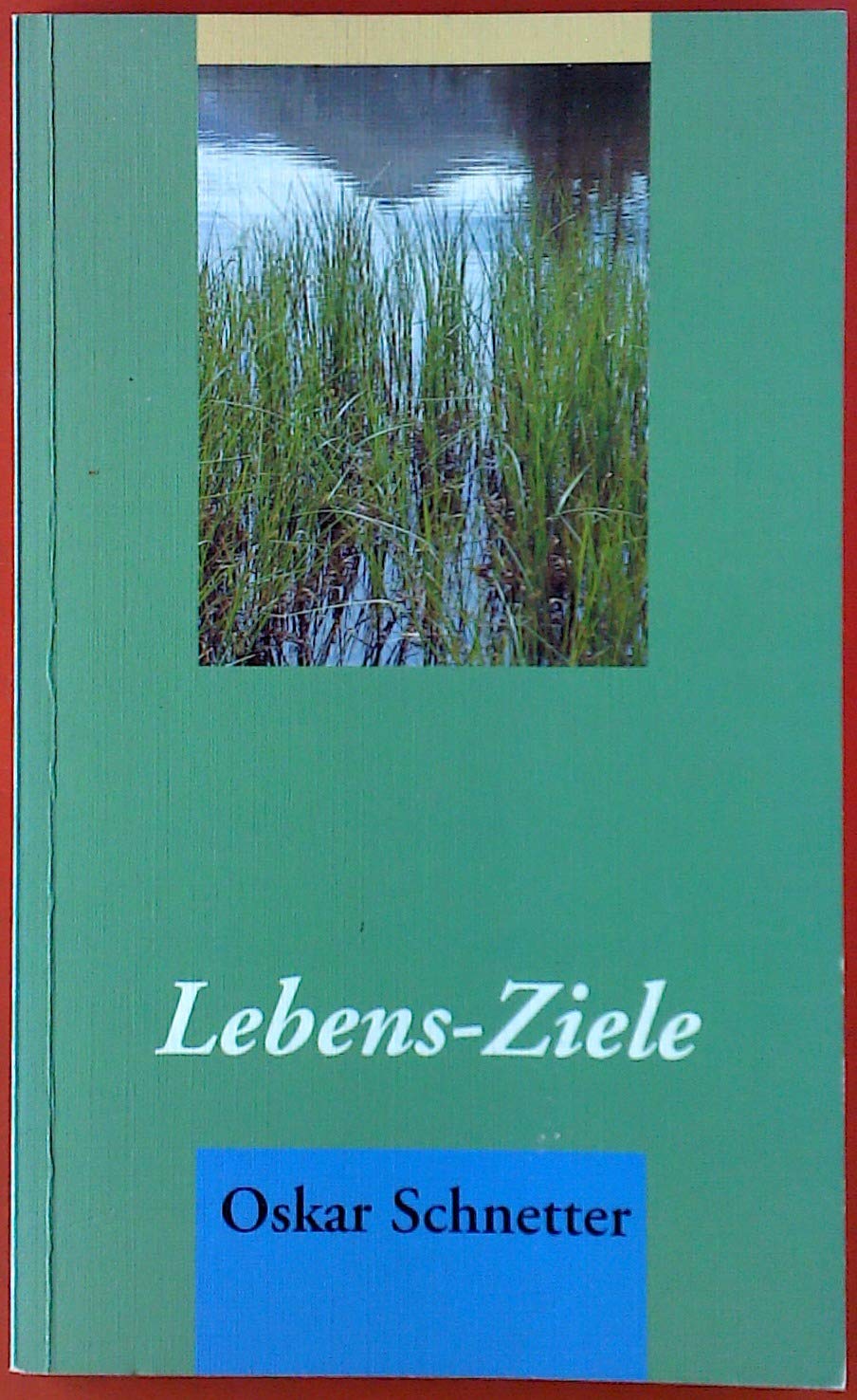 Lebens-Ziele: Grossdruck (Hänssler-Taschenbücher) Fiction