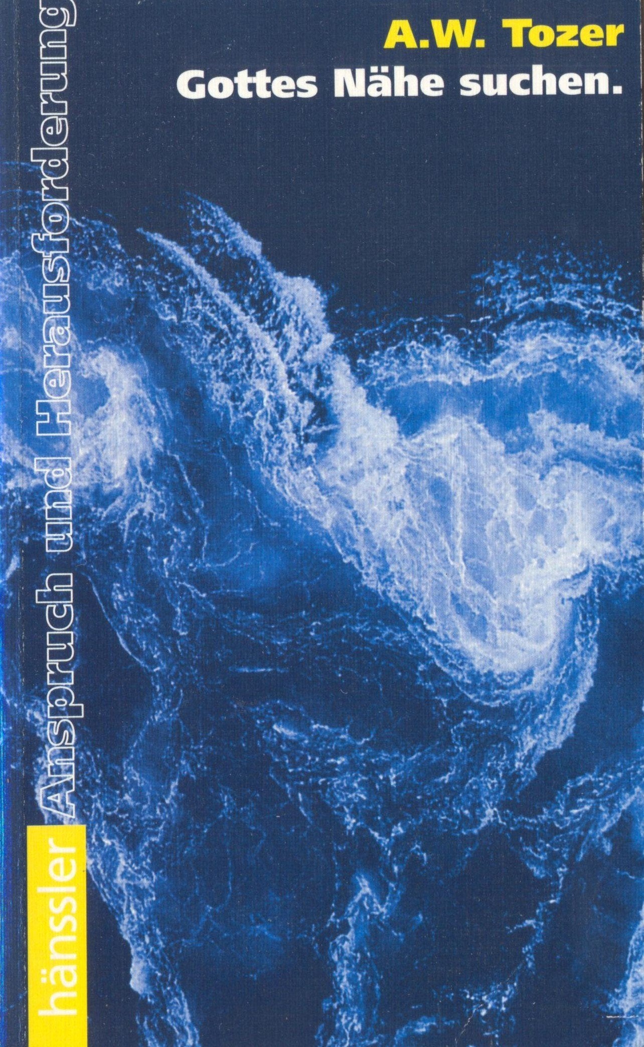 Gottes Nähe suchen (Hänssler-Taschenbücher) Religion & Esotericism