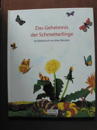 Das Geheimnis der Schmetterlinge: Ein Bilderbuch (Hänssler-Kinderland) Religion & Esotericism