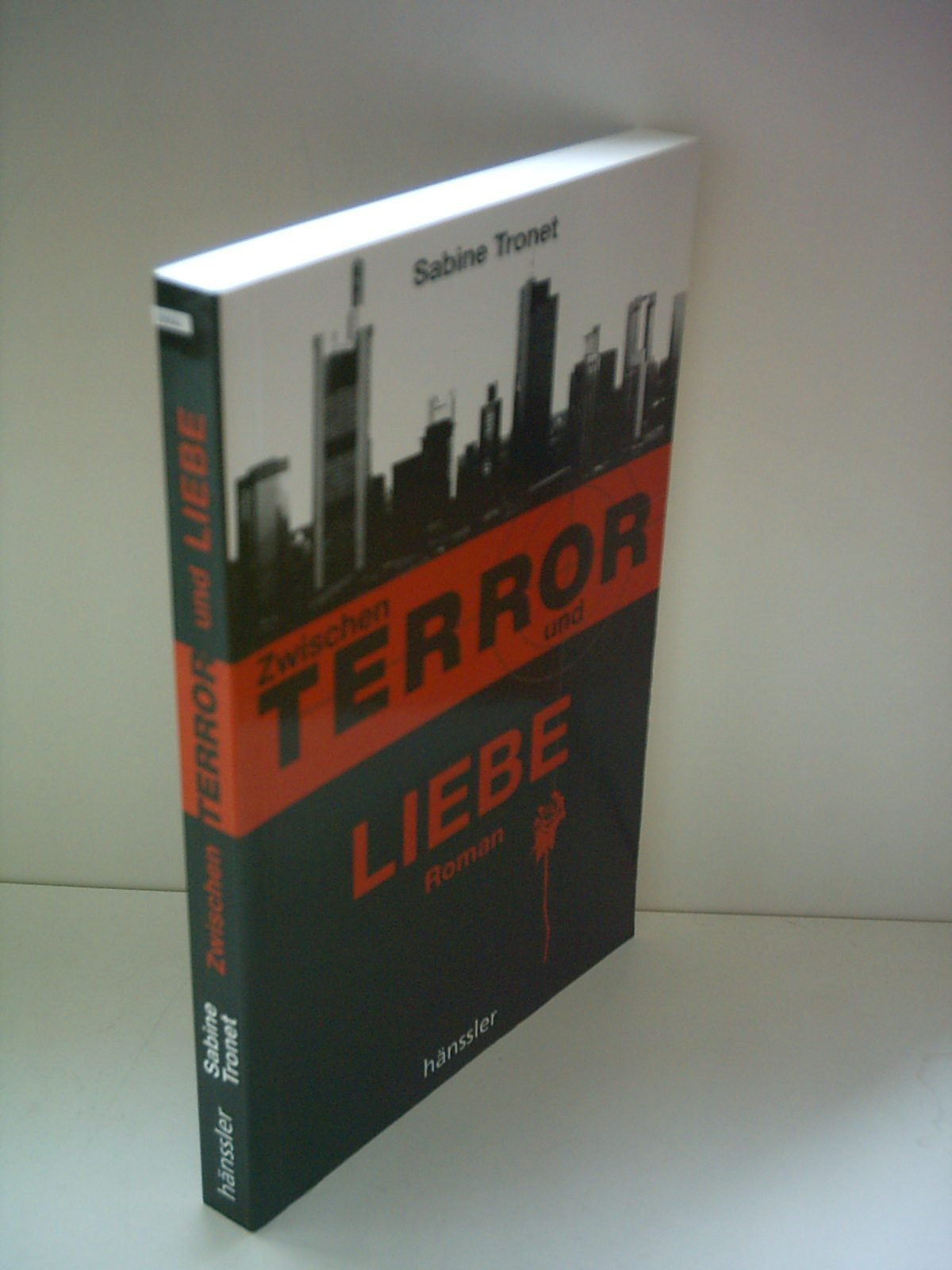 Zwischen Terror und Liebe: Roman Contemporary literature
