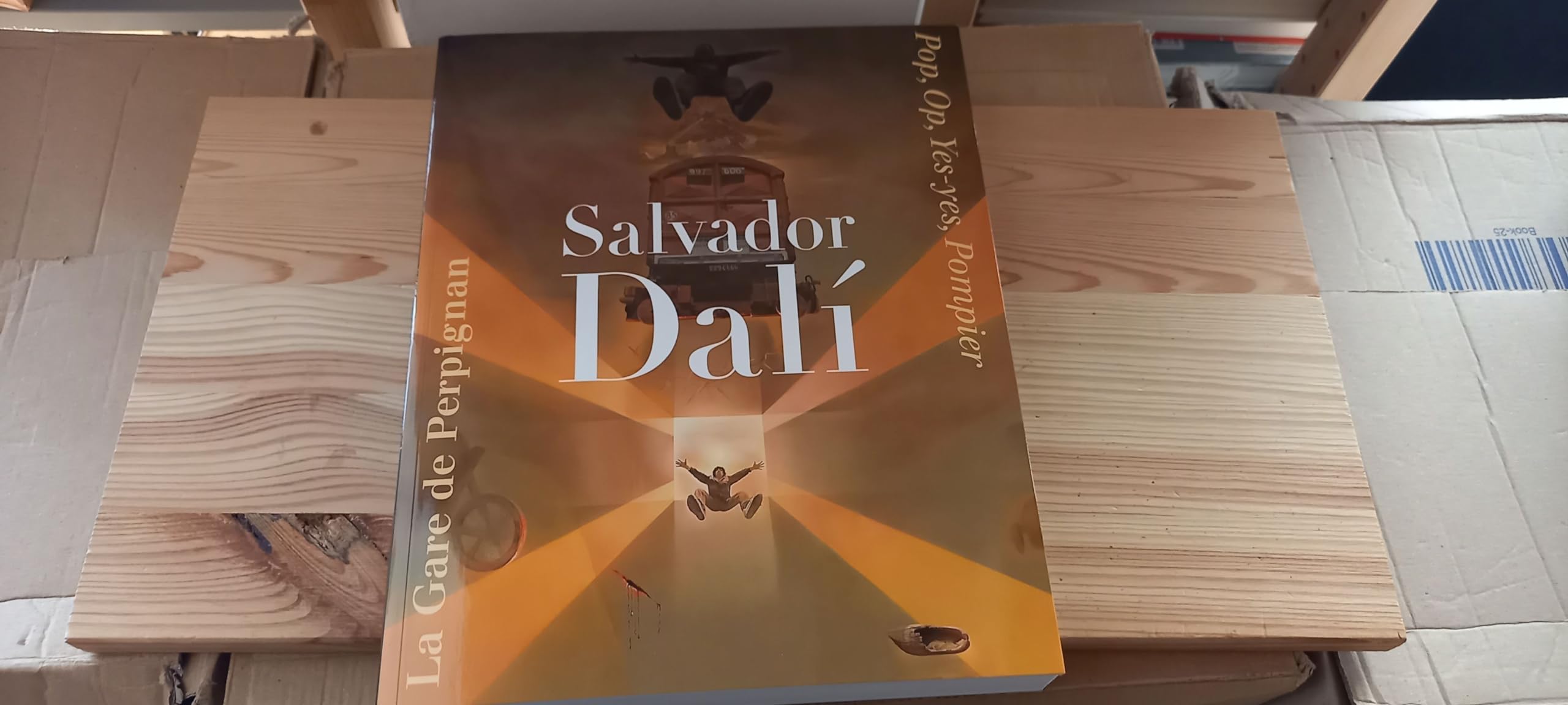 Salvador Dali La Gare de Perpignan Art & Literature Books