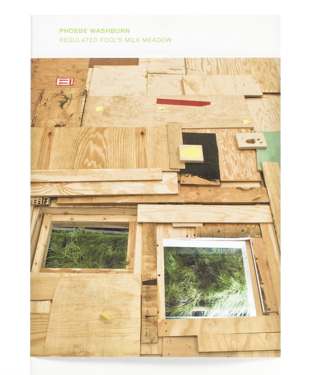 Phoebe Washburn: Regulated Fool's Milk Meadow book