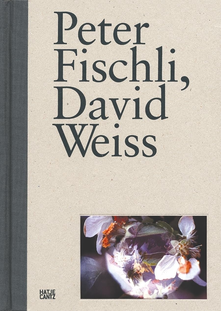 Peter Fischli, David Weiss: Sammlung Göetz (Zeitgenössische Kunst) Social Sciences