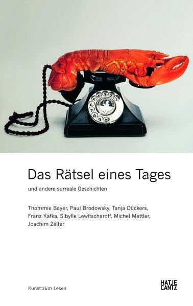 Das Rätsel eines Tages und andere surreale Geschichten: Und andere surreale Geschichten. Thommie Bayer, Paul Brodowsky, Tanja Dückers, Franz Kafka, ... Mettler, Joachim Zelter (Kunst zum Lesen) Contemporary literature Books