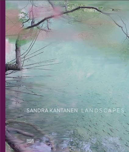 Sandra Kantanen: Landscapes: Landscapes. Foreword by Timothy Persons Travel