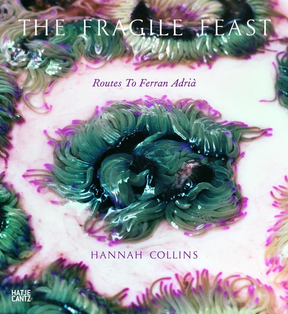 Hannah Collins: The Fragile Feast: Routes to Ferran Adrià Travel