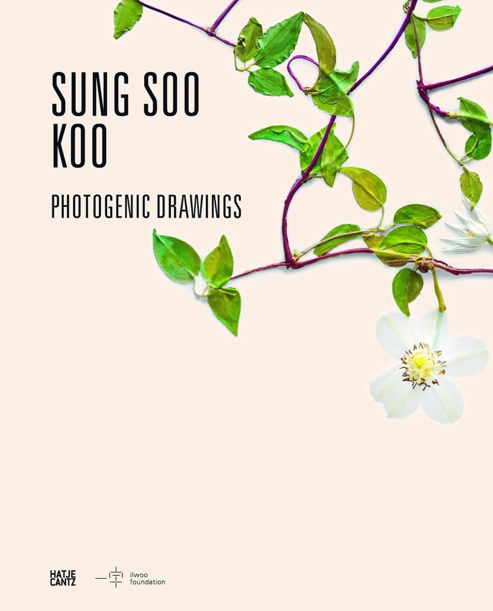 Sung Soo Koo: Photogenic Drawings: Photogenic Drawings. Ed.:Ilwoo Foundation, Seoul Travel
