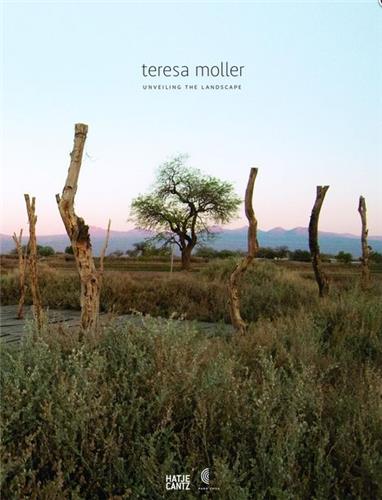 Teresa Moller and Associates Unveiling the Landscape Architecture
