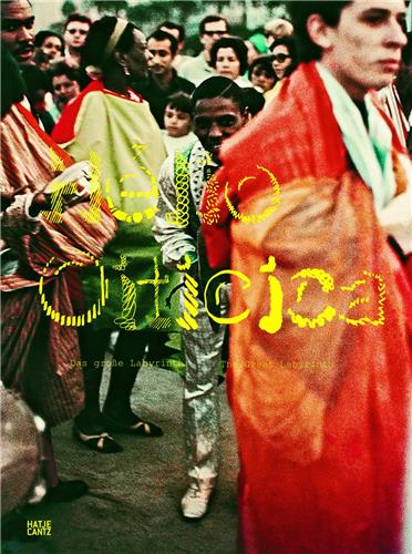 Helio Oiticica The Great Labyrinth Books