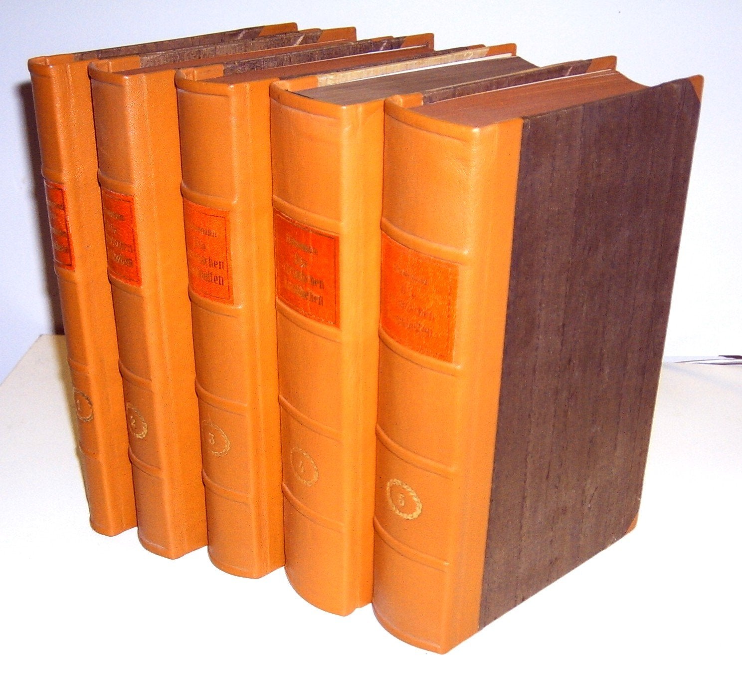 Paket: Die chronischen Krankheiten, ihre eigentümliche Natur und homöopathische Heilung. Th. 1 - Th. 5 (5 gebundene Bücher) Health, Nutrition & Fitness