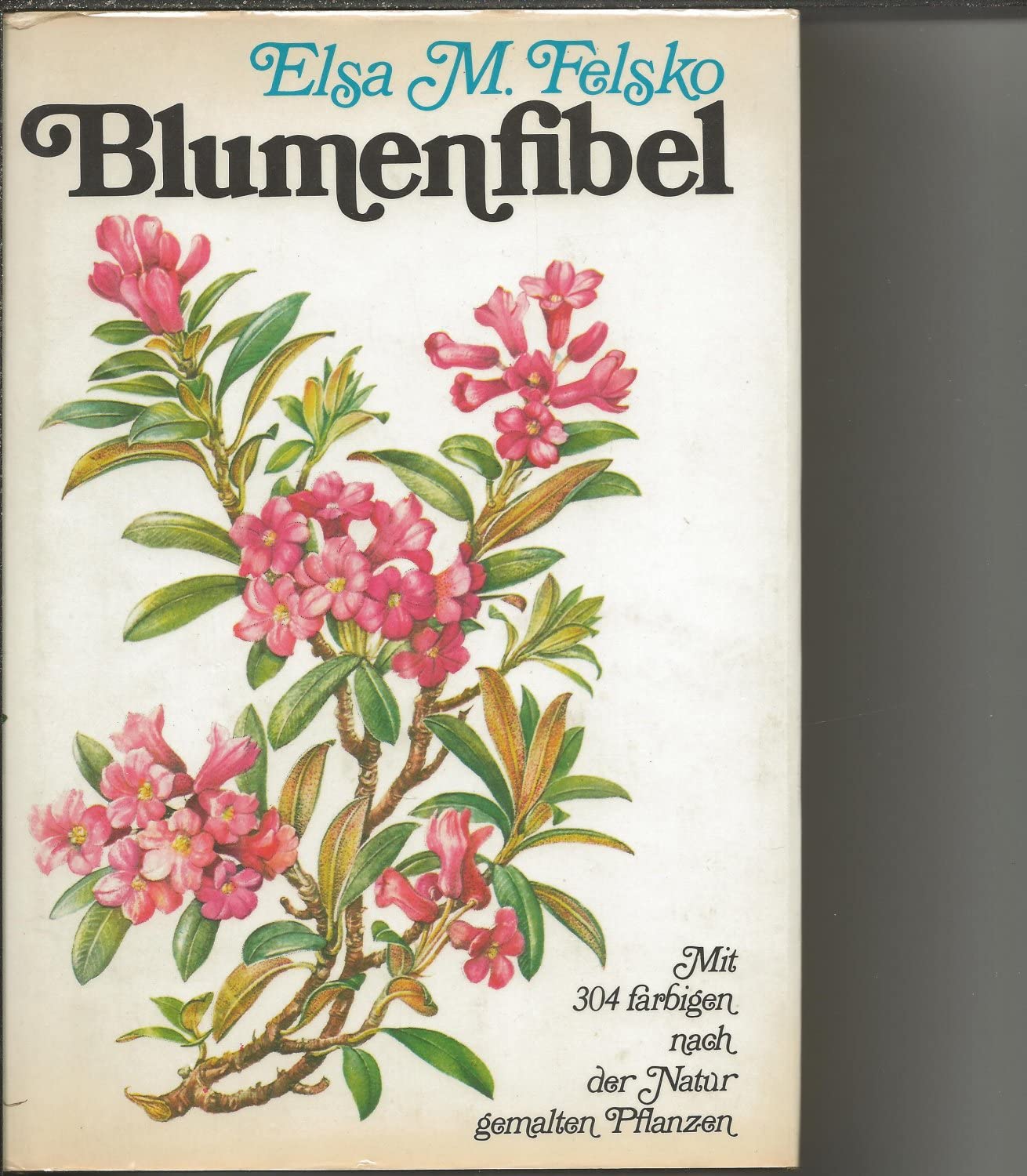 Product Image: Blumenfibel
